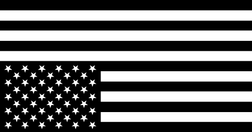 AMERICA IS REVOLTING
